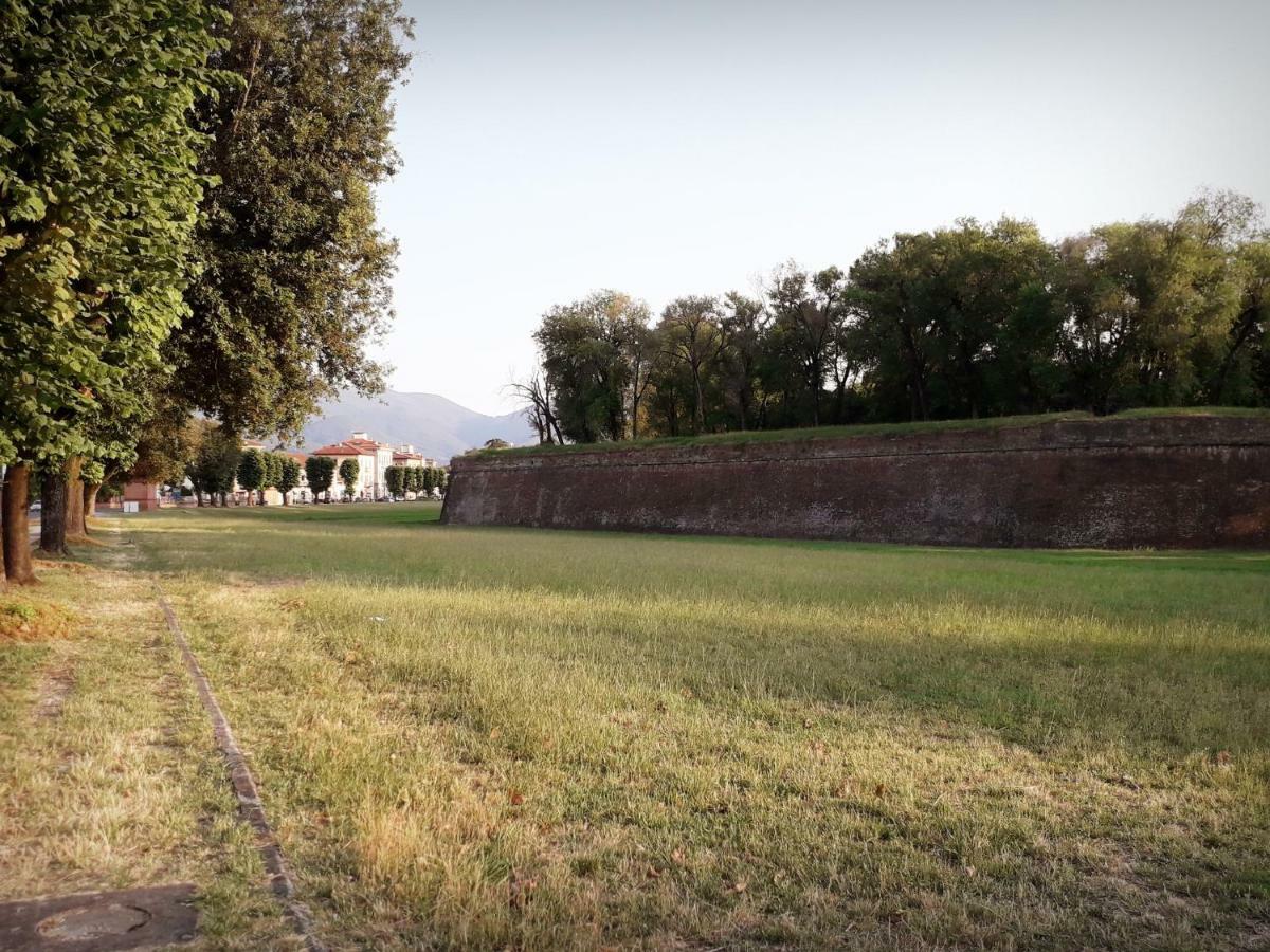 Home Sweet Home Affittacamere - Lucca Exterior foto